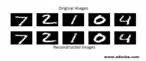 Autoencoders | Main Components and Architecture of Autoencoder