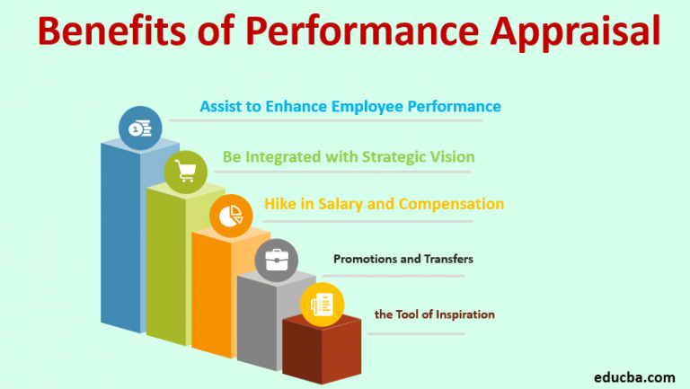 What Is Annual Performance Appraisal System