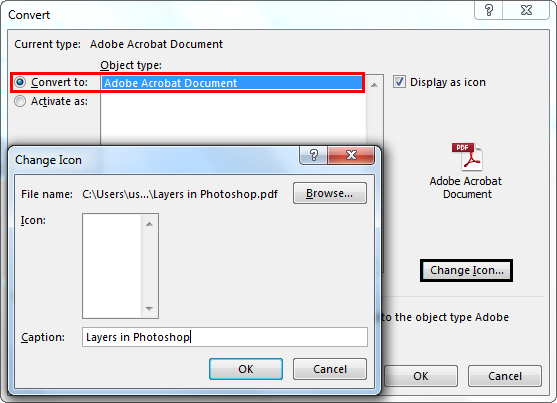 Acrobat Document Object