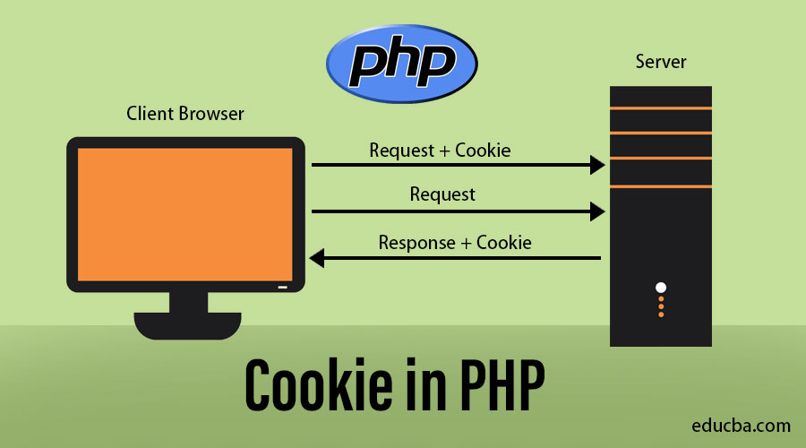 set cookie function in php