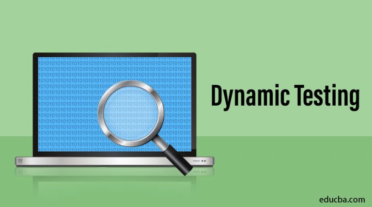Dynamic Testing | Example | Types | Techiniques | Features