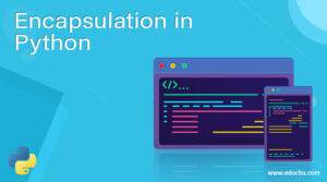 Encapsulation in Python | Instance Variables and Methodsin Python