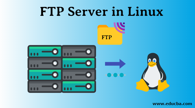 etikette pizza Præfiks FTP Server in Linux | Steps to Install and Configure the VSFTPD Server