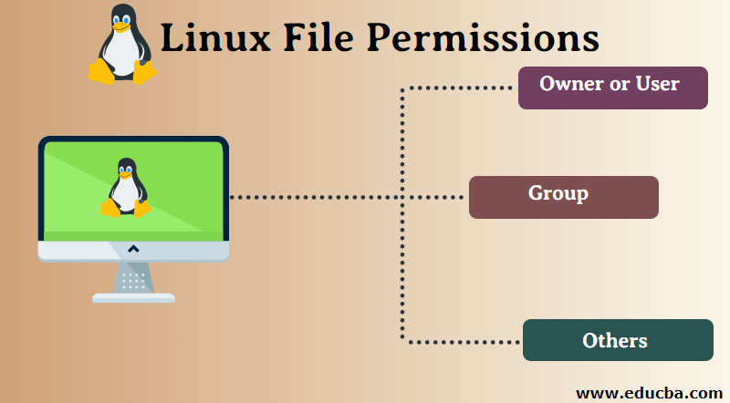 What Is The Default File Permission In Linux File System