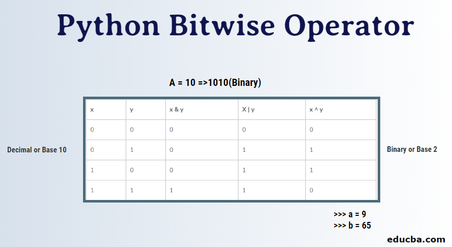 What Are The Bitwise Operators