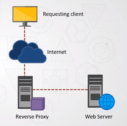 Reverse Proxy