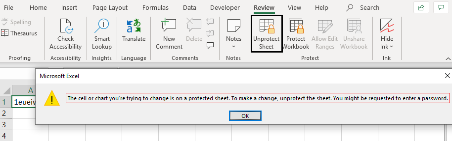 VBA Protect Sheet Example 1-6