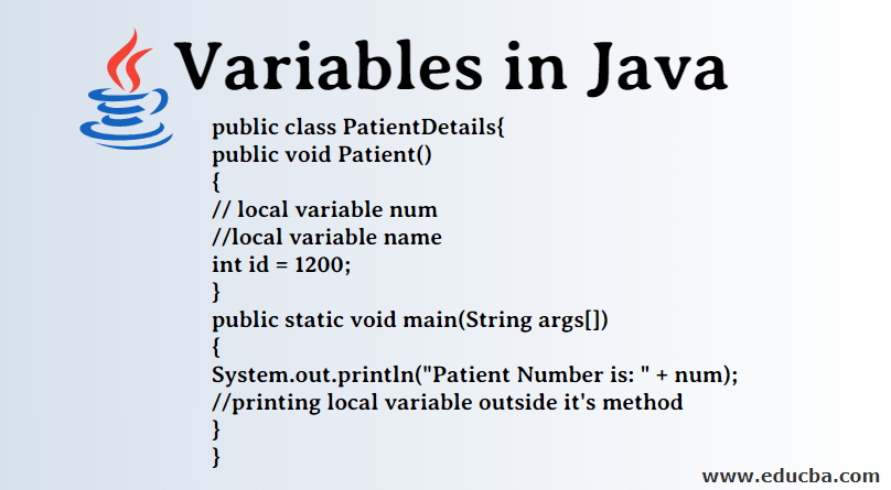 variables and assignments in java