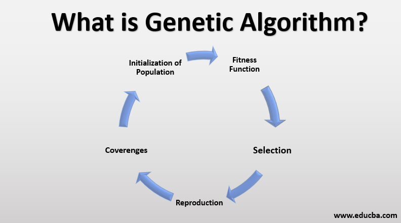 basic algorithm of life concept map