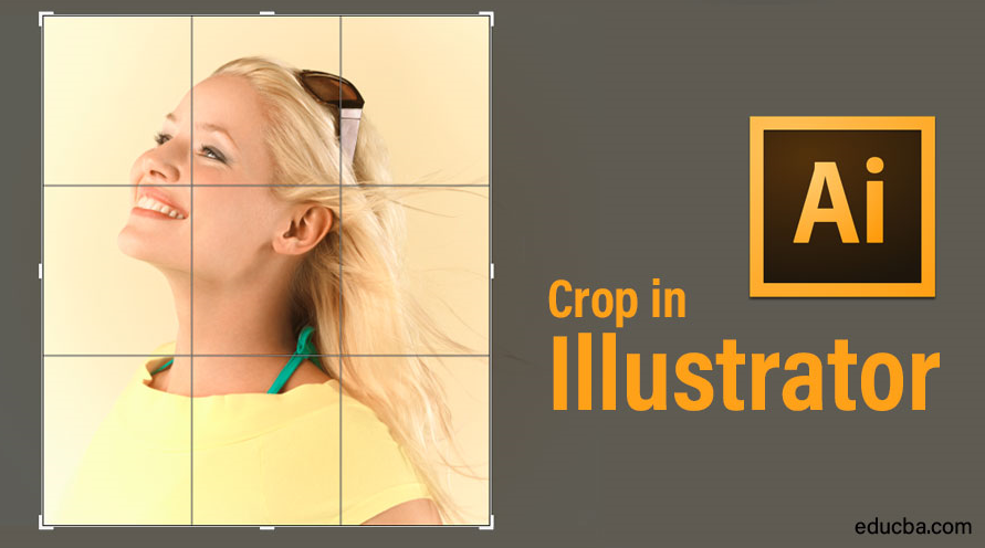 crop image tool illustrator