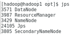 jps command to verify daemons    