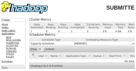 Submitted Map reduce application 