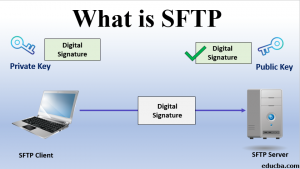 What Is SFTP: Maintain Data Security During File Transfers