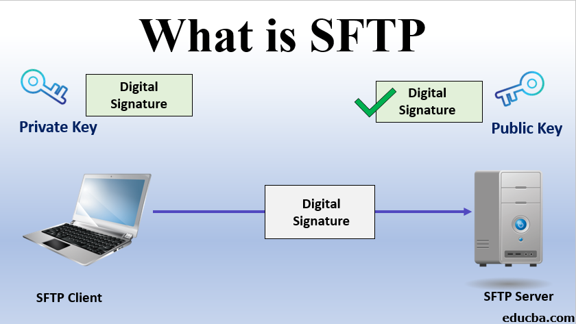 What Is Sftp Maintain Data Security During File Transfers