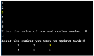 2-D Arrays in C | Intializing, Inserting, Updating and Deleting Arrays