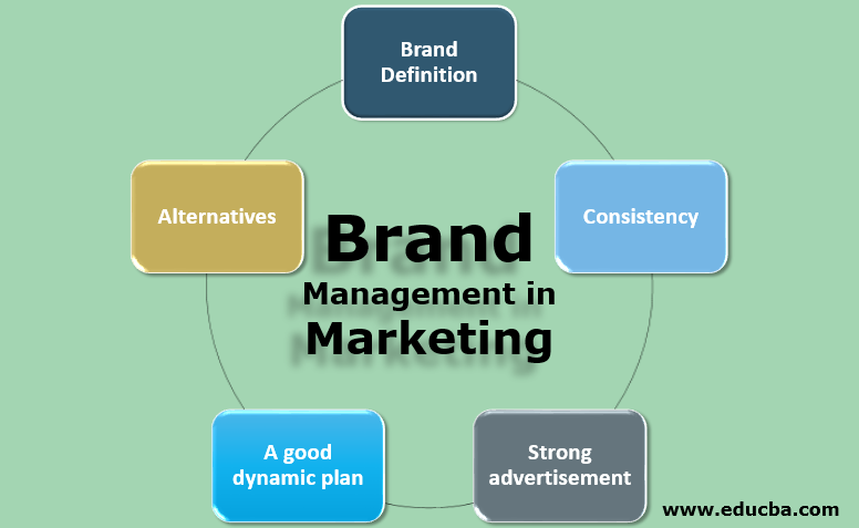 Brand Management in Marketing