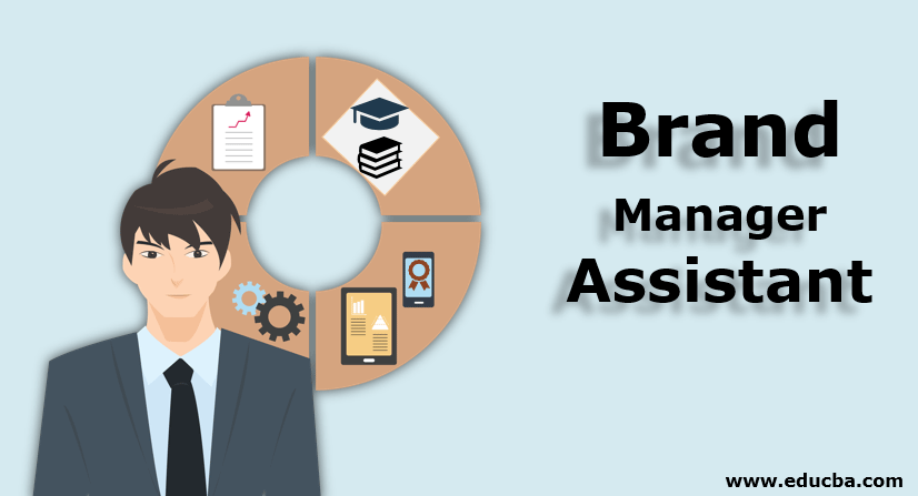 brand-manager-assistant-education-and-skills-with-key-points