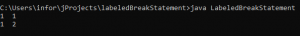Break Statement in Java | How break statement work in java with examples
