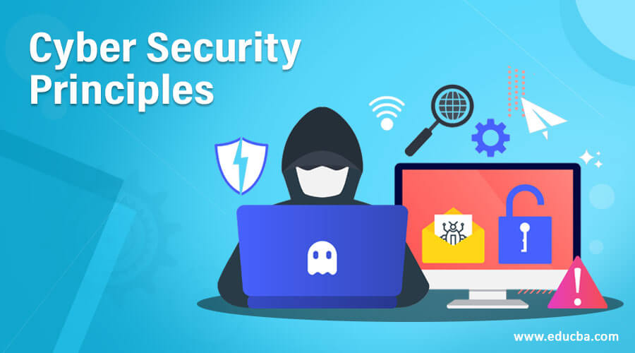 Cyber Security Principles