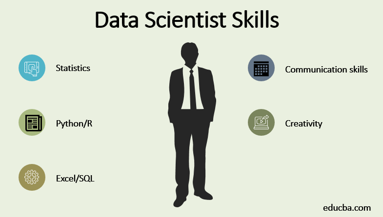 Data Scientist Skills 