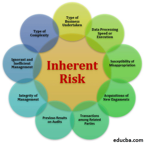 inherent risk business plan