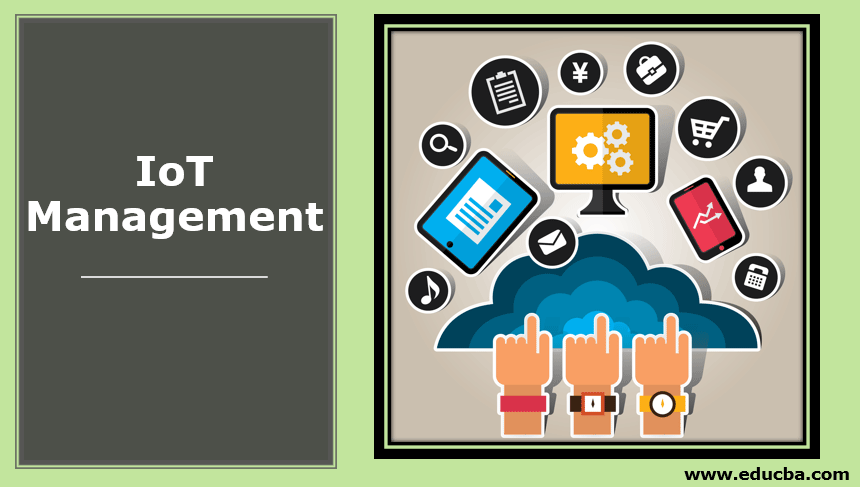 IoT Management