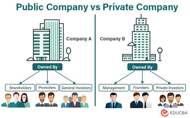 Public Company vs. Private Company