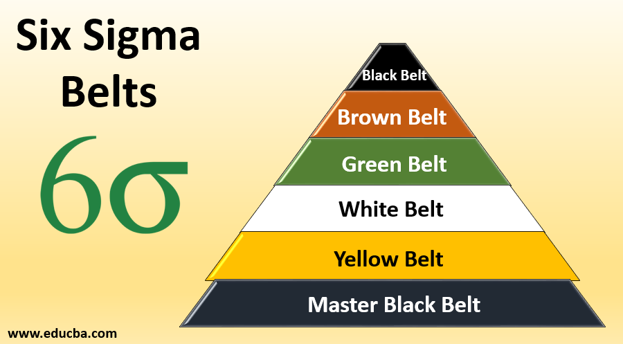 Six Sigma Belts - Quick Glance on the Six Sigma Belts Level