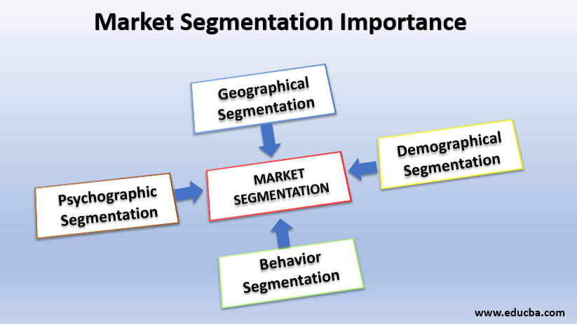 What Is Market Segmentation? Importance for Your Business