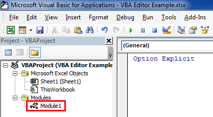 module in VBA project