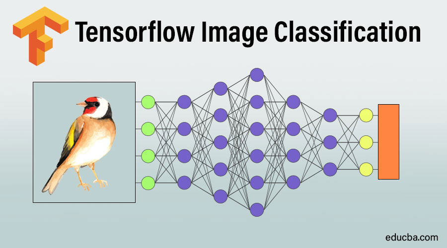 Deep Learning Image Classification Tutorial Step By Step 54 OFF