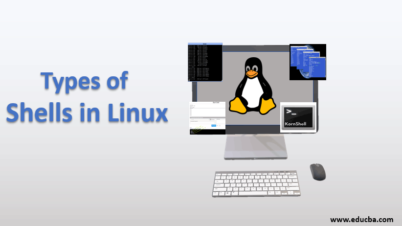 types of shell in linux