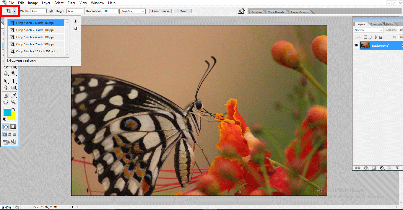 How to Crop an Image in Photoshop