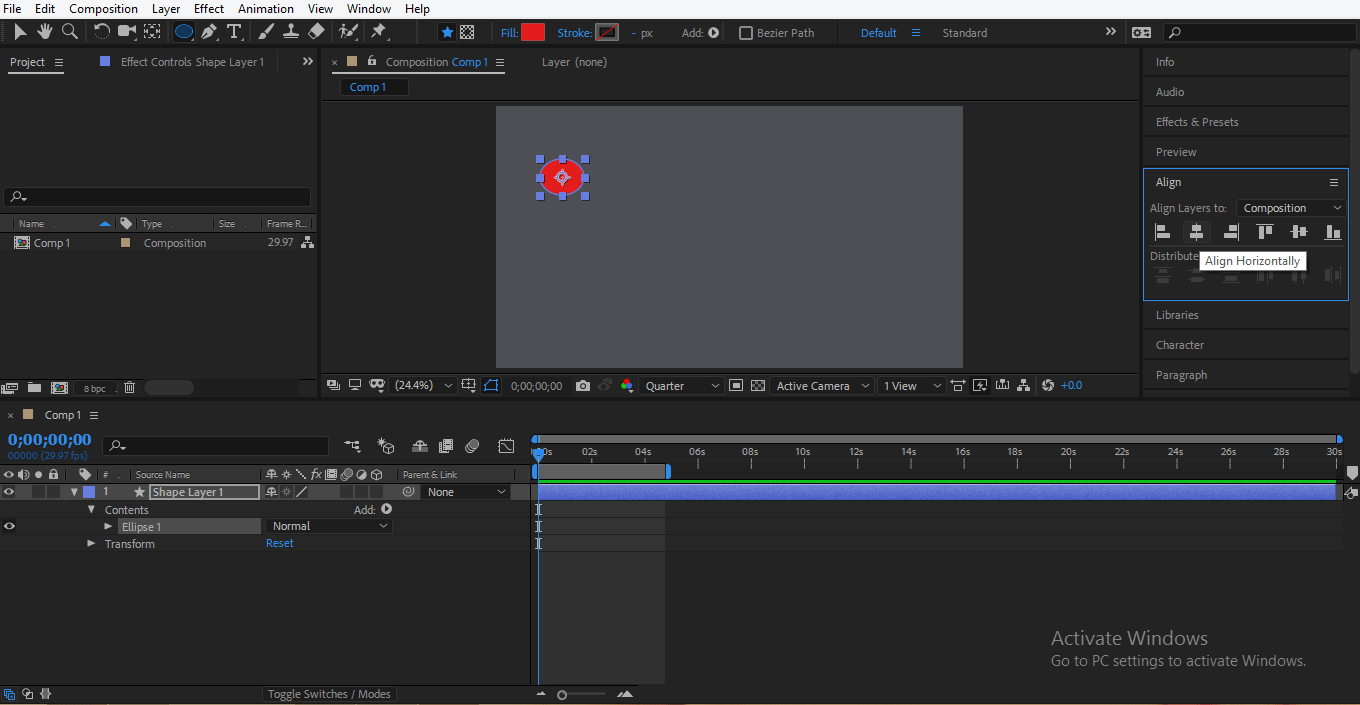 Esporta in After Effects 6 Allinea comando