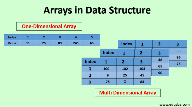 array and display case study data