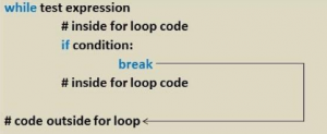 Break Statement in Python | Quick Glance To Break Statement In Python