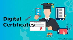 Digital Certificate | Content and Types of Digital Certificate