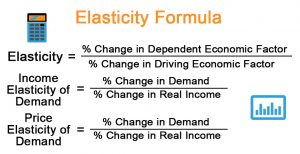 Elasticity Formula | Explanation | Example with Excel Template