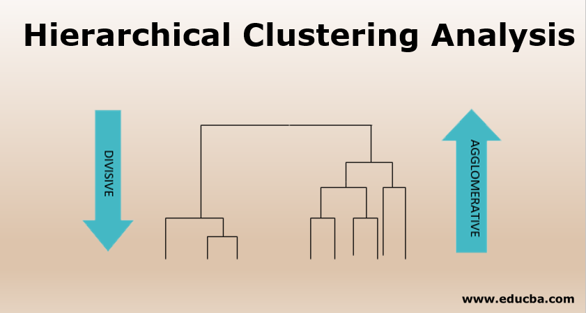  Hierarchical Clustering Analysis