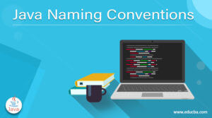 Java Naming Conventions | A Concise Guide to Java Naming Conventions