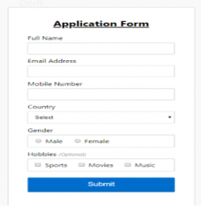 JavaScript Form Validation | Different Types of JavaScript Form Validation