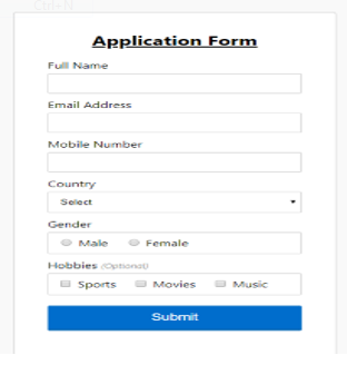 JavaScript Form Validation | Different Types Of JavaScript Form Validation