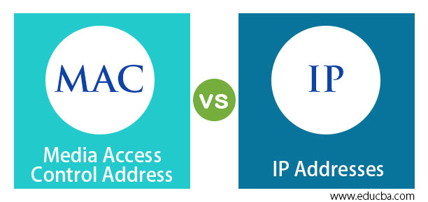 vmware mac address and ip address