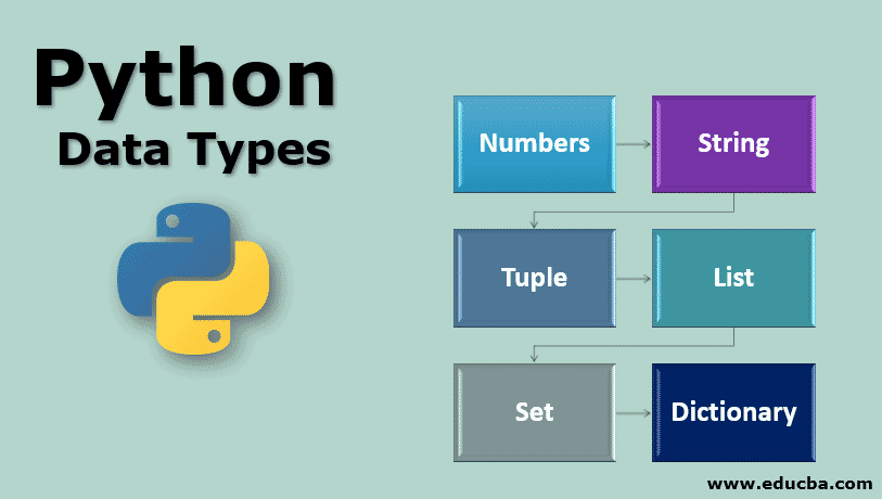 Python Data Types Top 6 Amazing Data Types In Python 4177