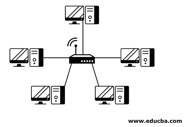 What Is a Hub in a Computer Network?