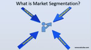 What is Marketing Segmentation? | Categories of Marketing Segmentation