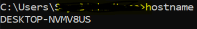 Windows Networking Commands hostname