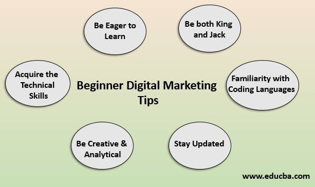 The Top 5 Tips For Your Digital Marketing Success – Blog – IPFCconline