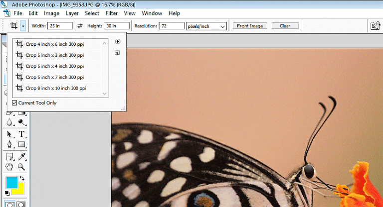 crop-tool-in-photoshop-learn-to-use-crop-tool-in-photoshop