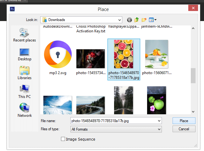 open file1 (Quick Selection Tool in Photoshop)